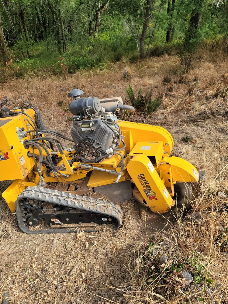 A yellow tracked stump grinder machine used for tree removal in a wooded area.