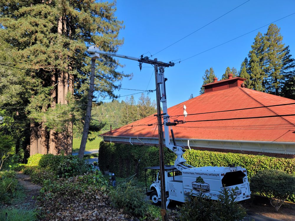 Utility vehicle, oriented towards tree trimming, parked beside a red-roofed building with a utility pole in the foreground and tall trees in the background.