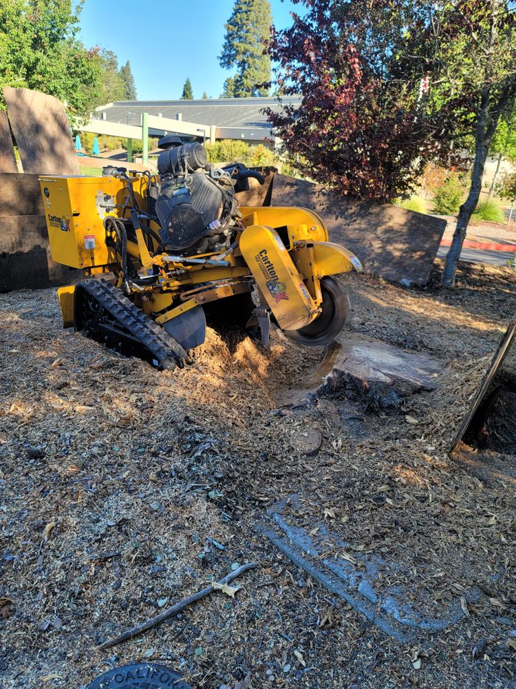 A stump grinder in operation, performing tree maintenance by removing a tree stump from the ground.