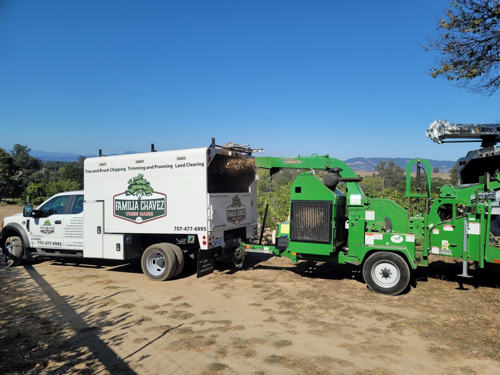 Tree service trucks and equipment for emergency tree service parked on a dirt lot on a sunny day.