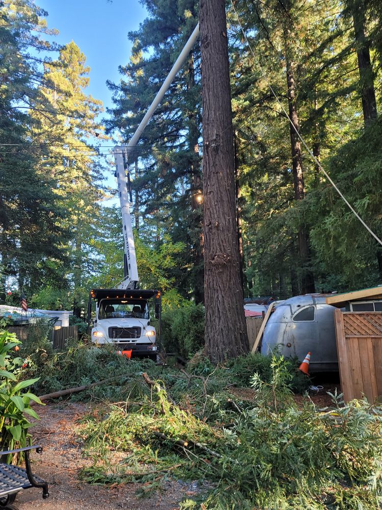 A utility vehicle with an extended crane performing emergency tree service in a forested residential area.